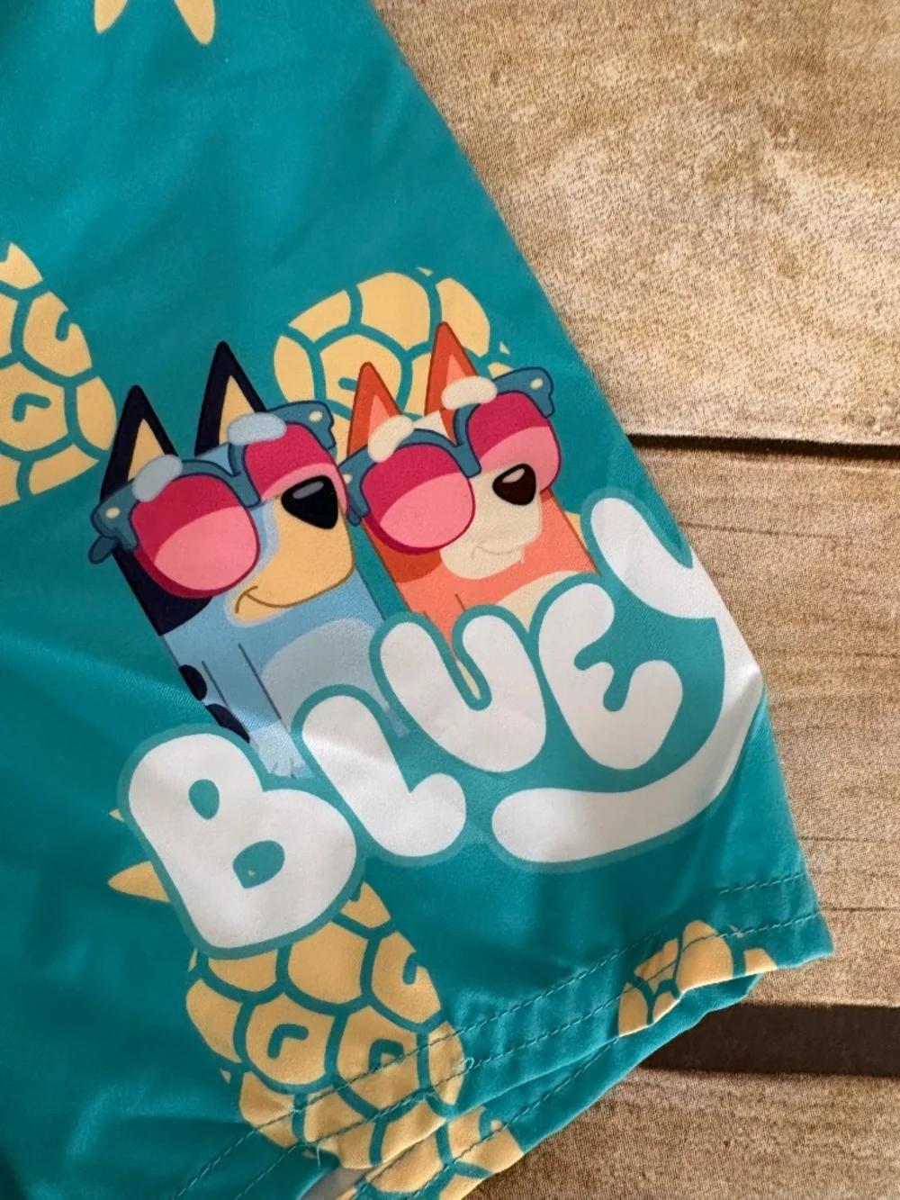 Old Navy Bluey Swim Trunks Kids 3T NWT